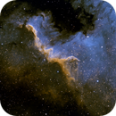 Cygnus Wall