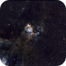 Fish Head Nebula
