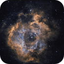 Rosette Nebula