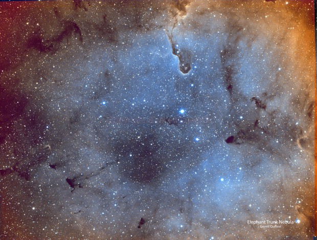 Elephant Trunk Nebula
