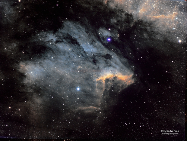 Pelican Nebula