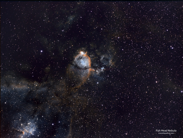 Fish Head Nebula