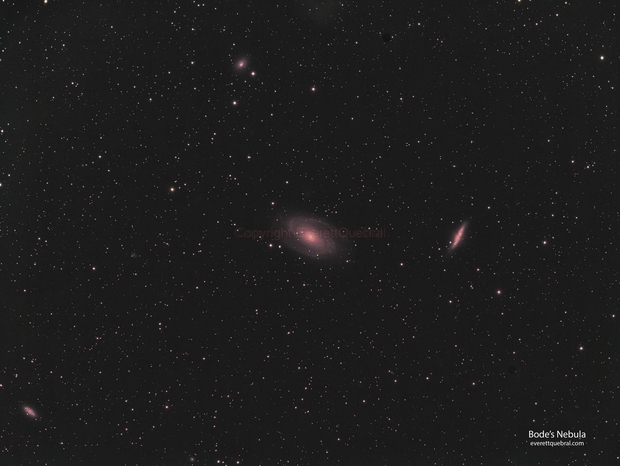 Bode's Nebula