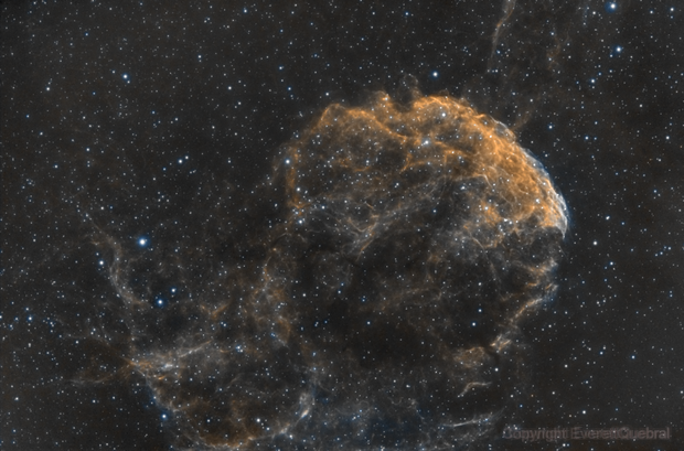 The Jelly Fish Nebula