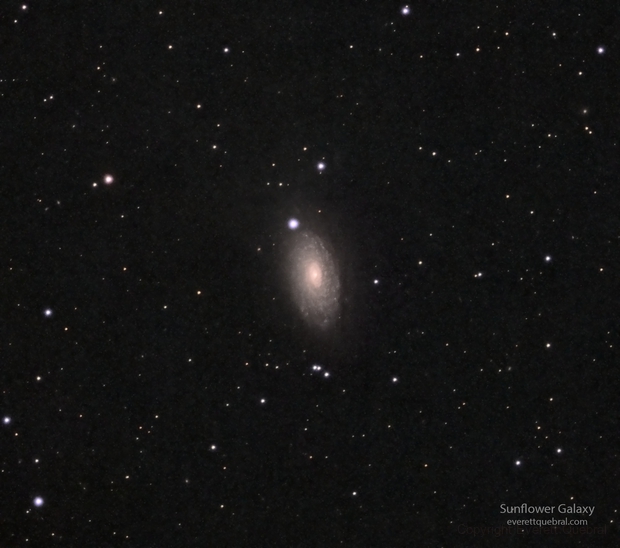 Sunflower Galaxy