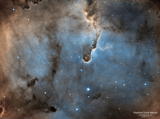 The Elephant's Trunk Nebula