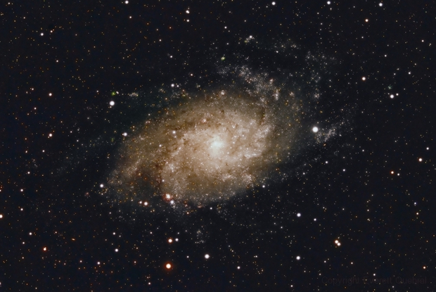 The Triangulum Galaxy